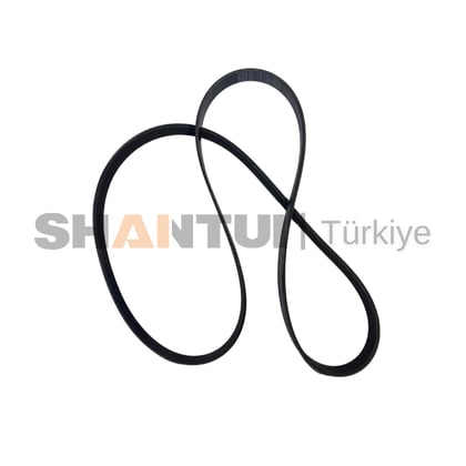 FAN KAYIŞI