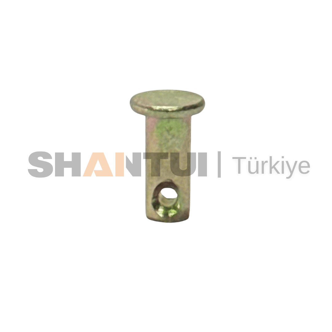 PIN