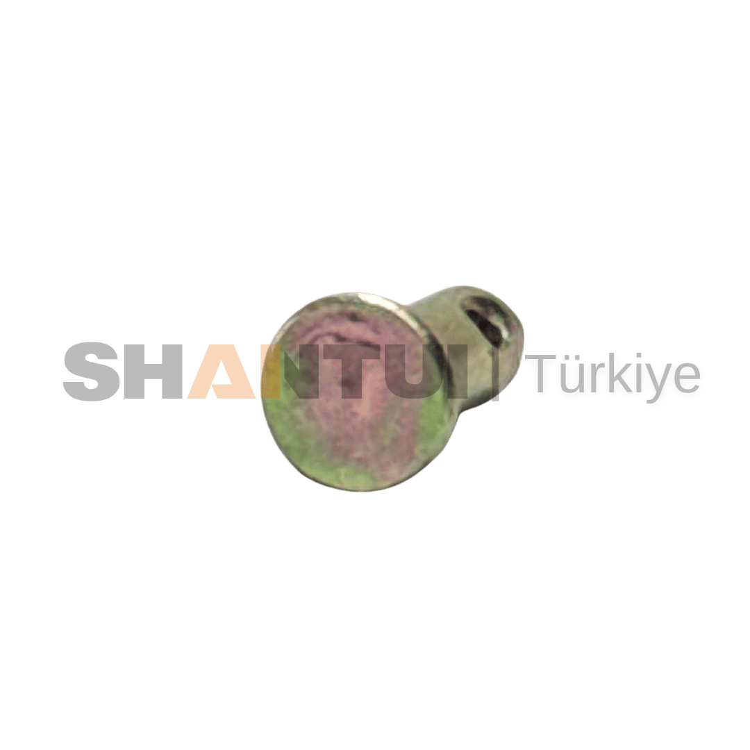 PIN