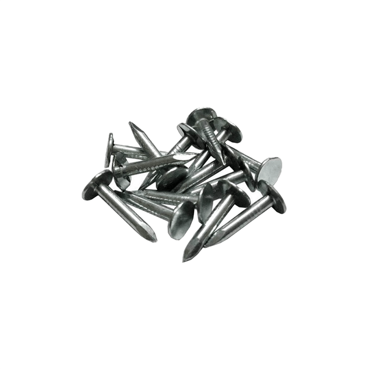 Çeliksan Şıngıl Çivisi 2 cm 1 kg