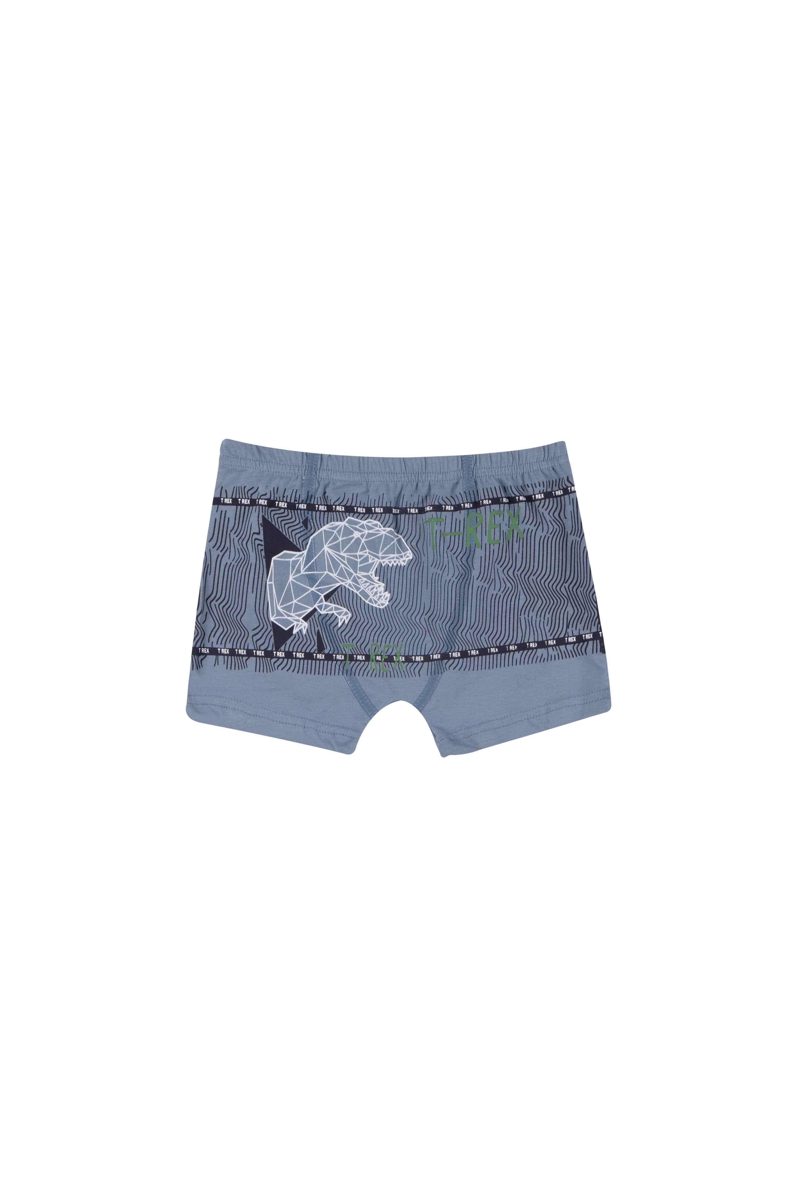 ERKEK COCUK CAMASIR - BOXER