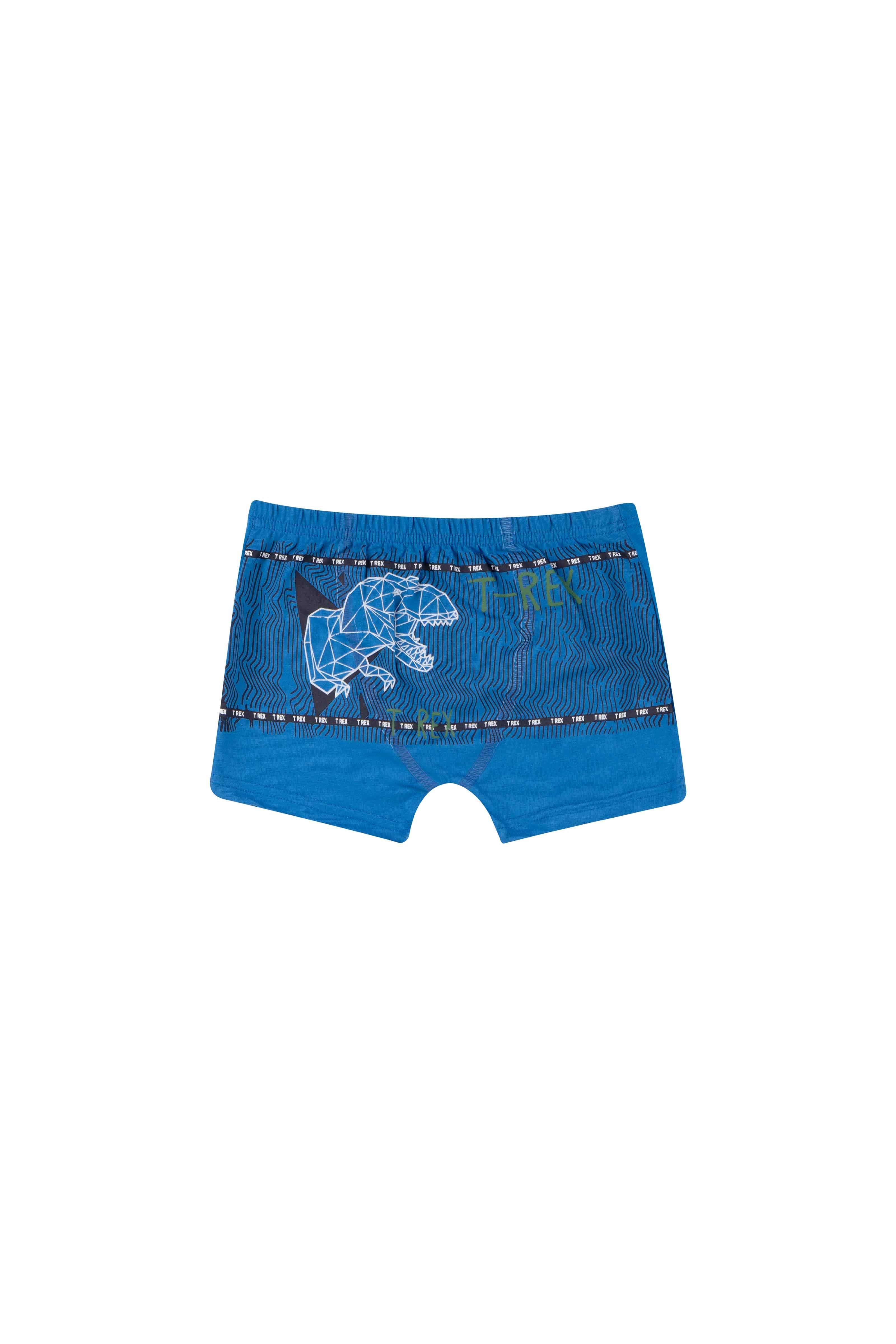 ERKEK COCUK CAMASIR - BOXER