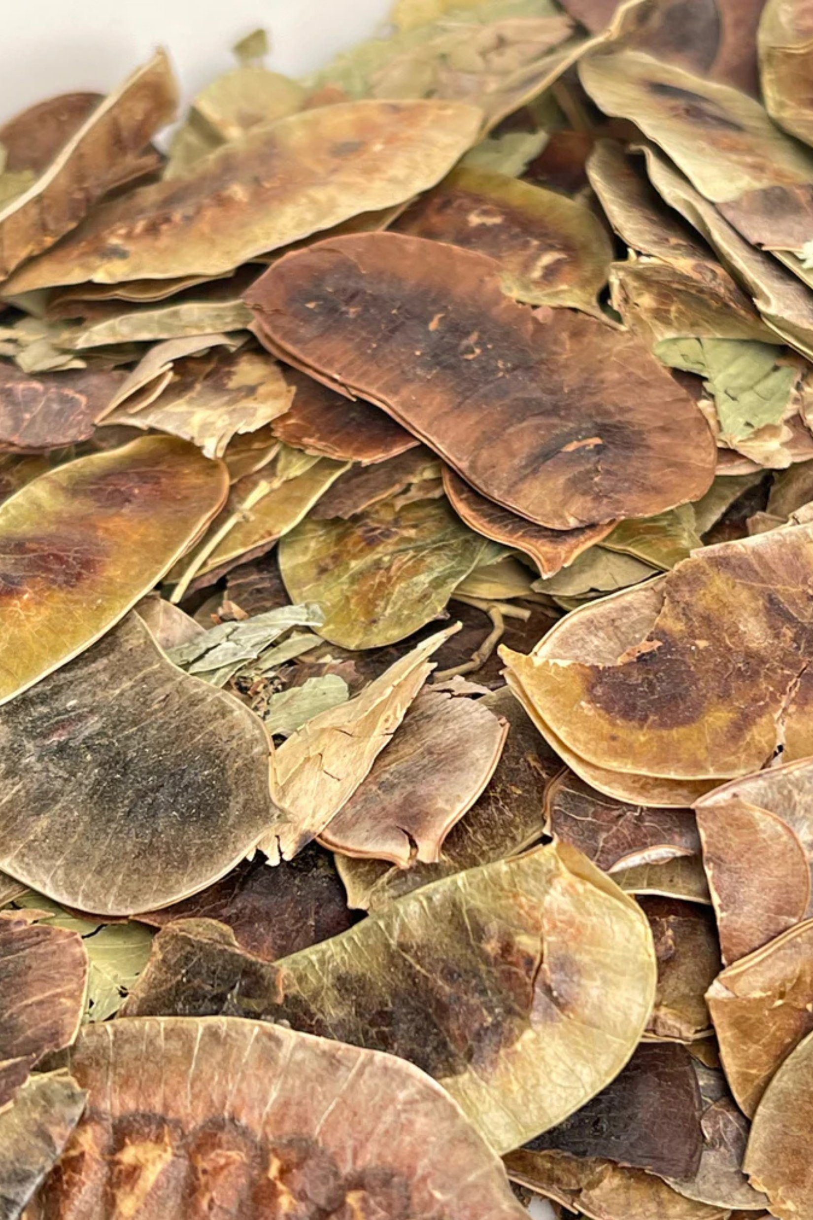 Açlık Otu 50 Gr