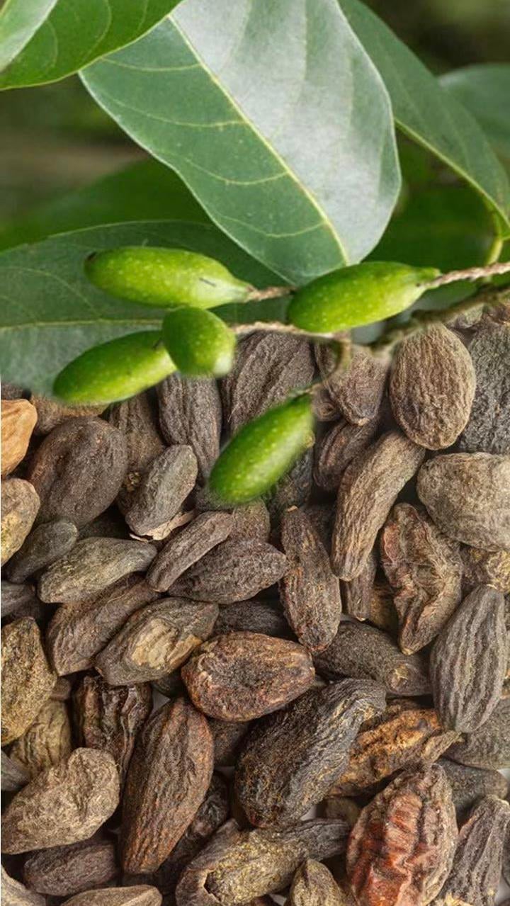 Sarı Halile 100 Gr