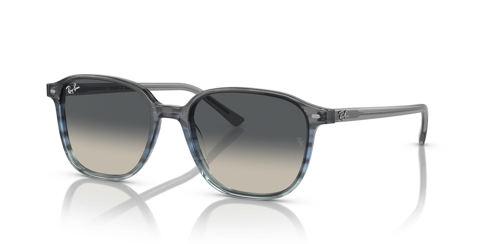 RAYBAN RB 2193 Leonard 1381/71 53