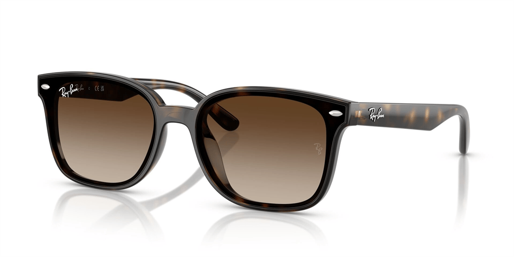 RAYBAN RB 4461D 710/13 64
