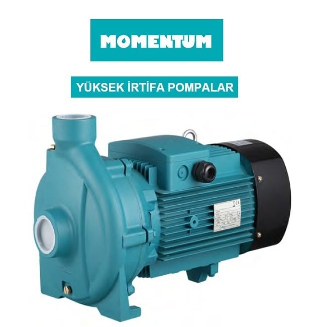 PC550C2 5.5 HP Temiz Su Hidrofor Pompası