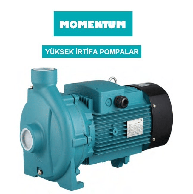 PC550CH 5.5 HP Temiz Su Hidrofor Pompası