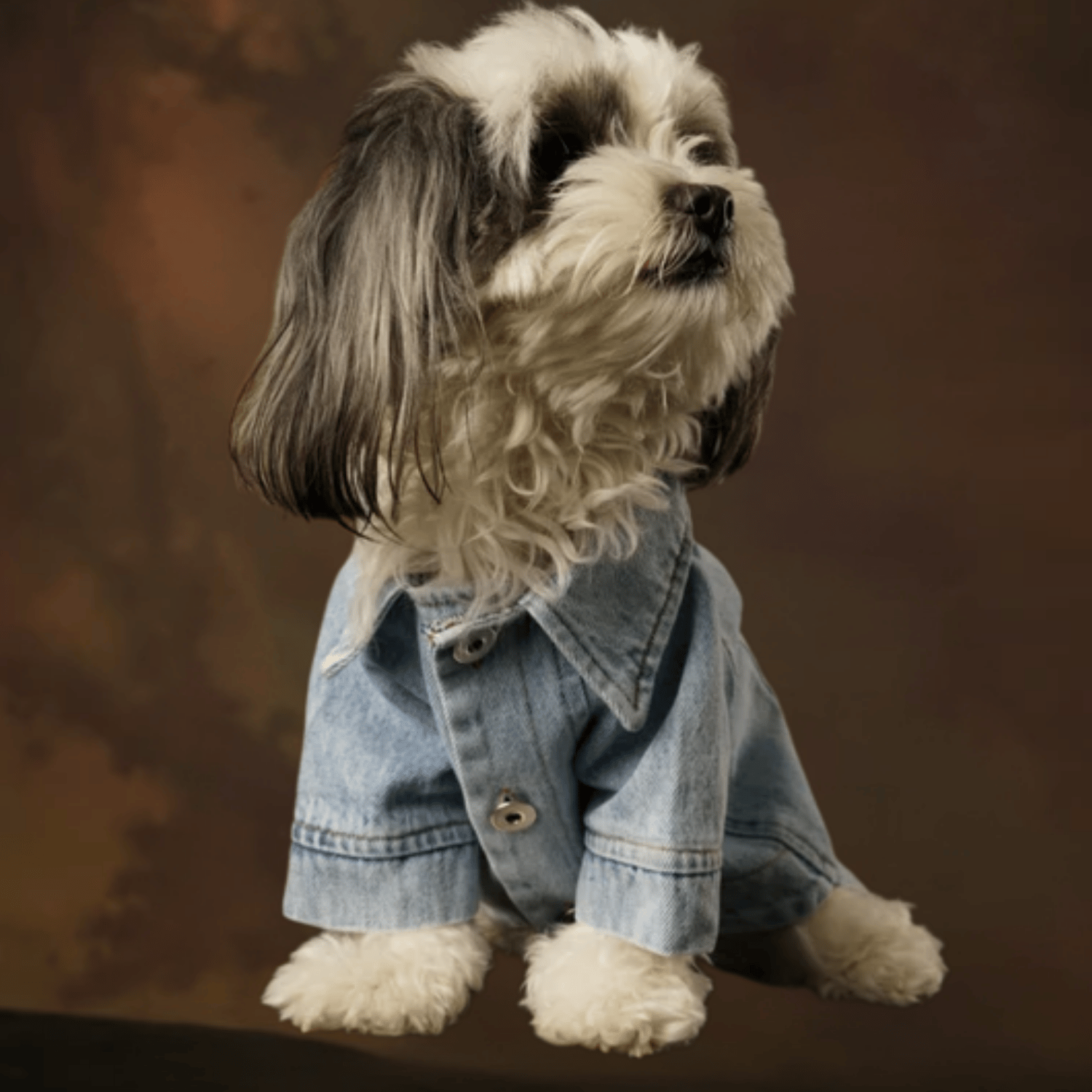 Be Design Evi Hera Denim Kedi & Köpek Ceket