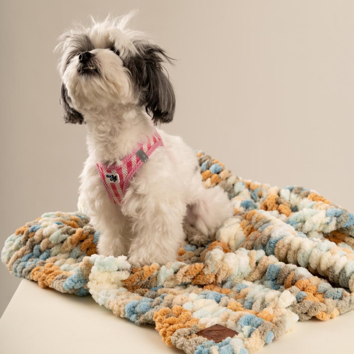Be Design Premium Köpek Battaniyesi – Soft Dokulu NO:2