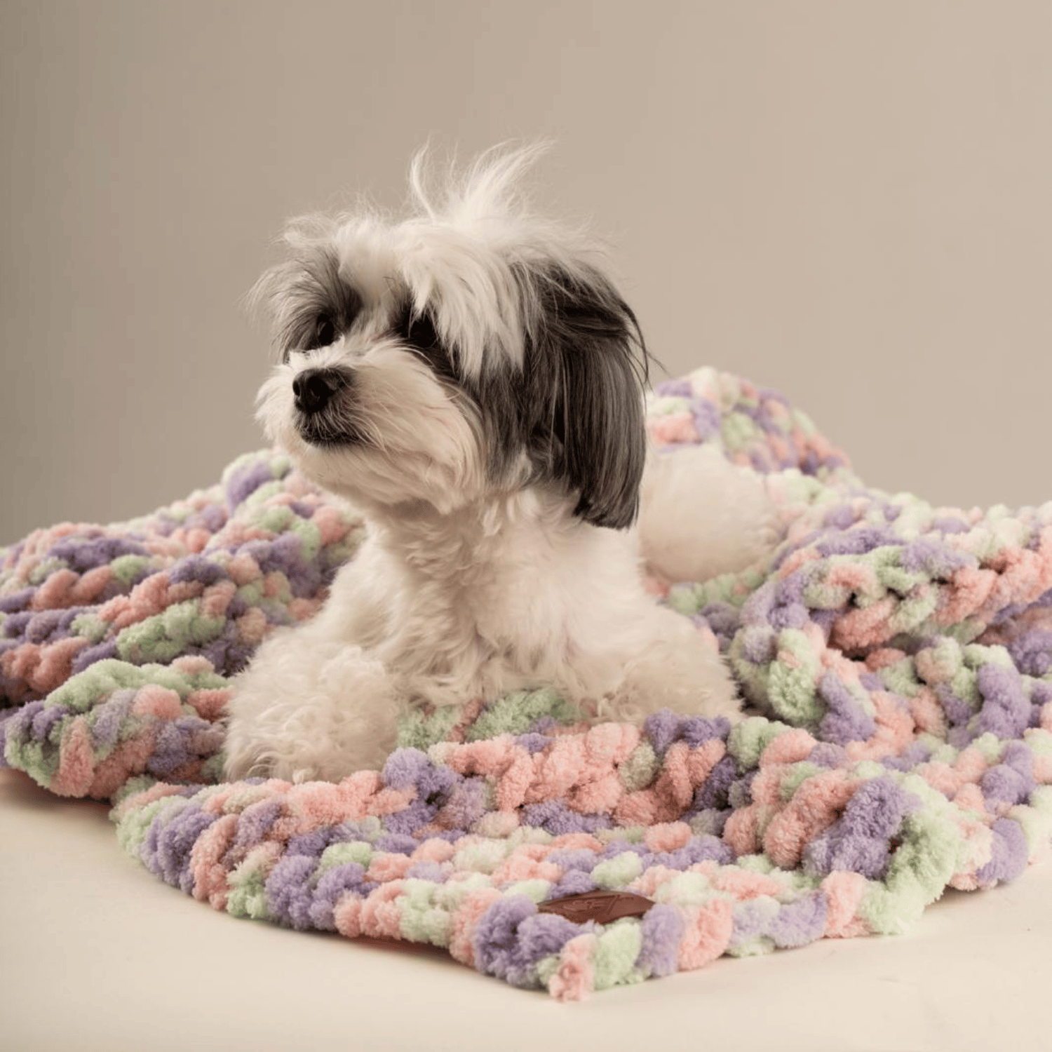 Be Design Premium Köpek Battaniyesi – Soft Dokulu NO:6