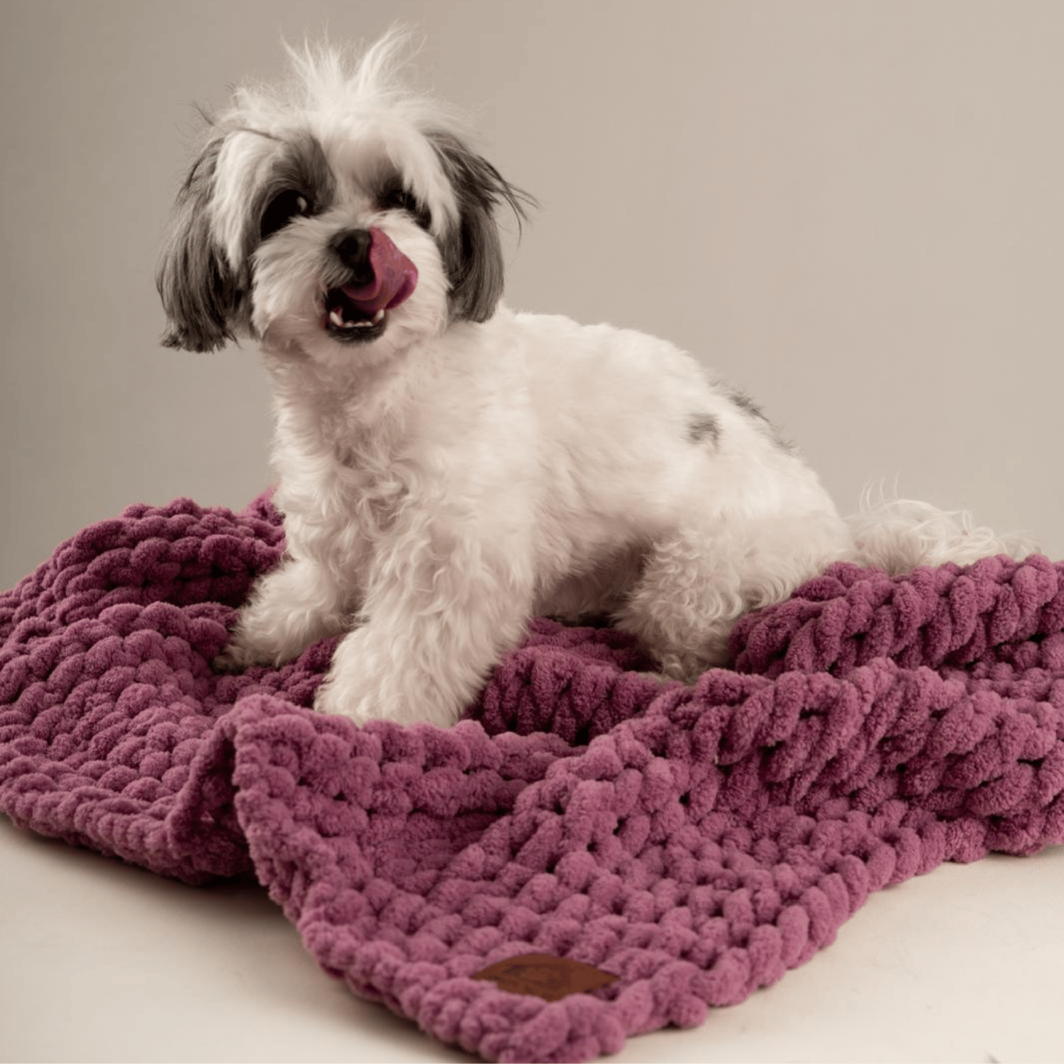 Be Design Premium Köpek Battaniyesi – Soft Dokulu NO:5