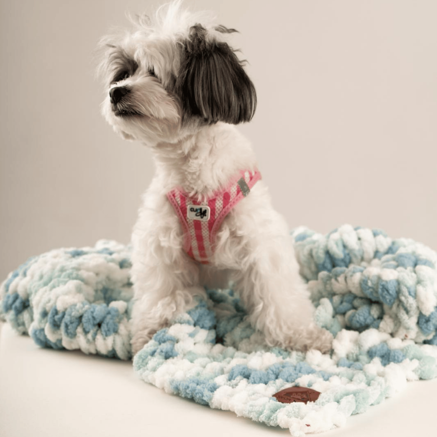 Be Design Premium Köpek Battaniyesi – Soft Dokulu NO:1