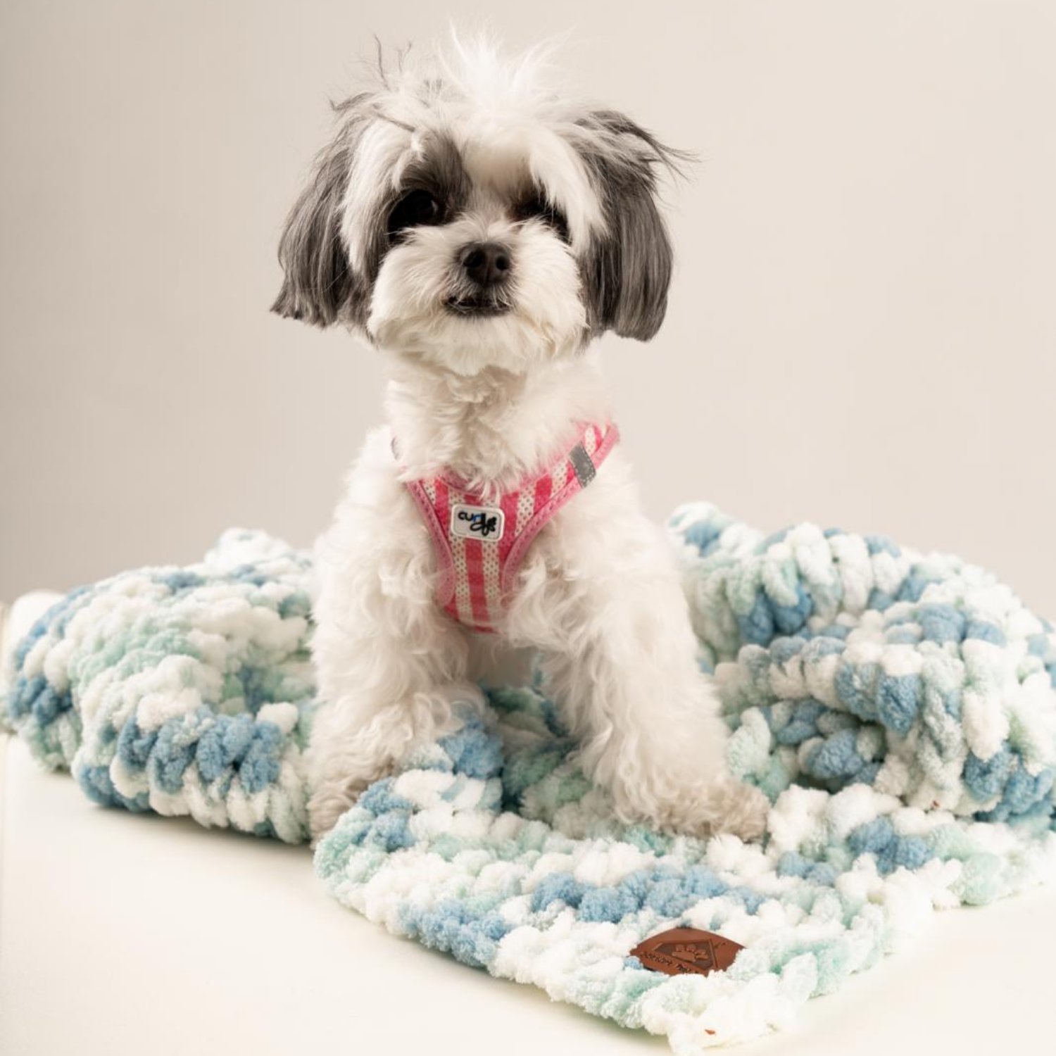 Be Design Premium Köpek Battaniyesi – Soft Dokulu NO:1