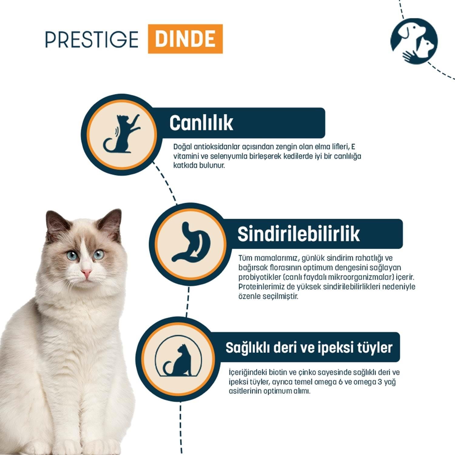 Pro Nutrition Prestige Dinde Hindili Yetişkin Kedi Maması 2KG