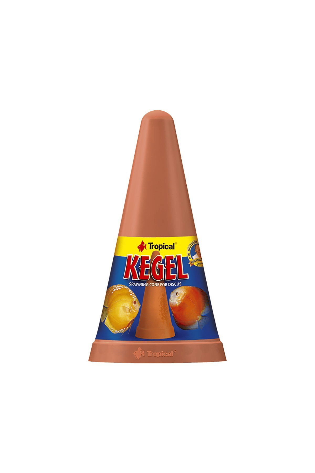 Tropical Kegel