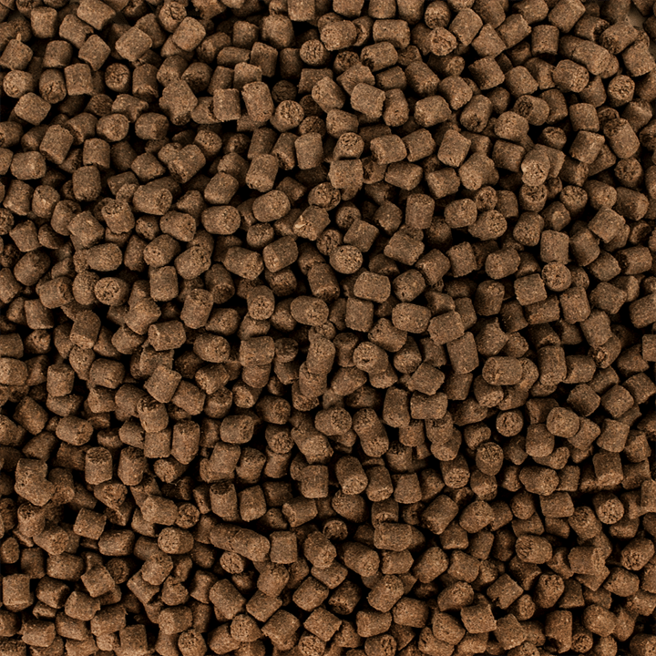 Tropical Sterillet Basic M Wor. 1000Ml/500Gr