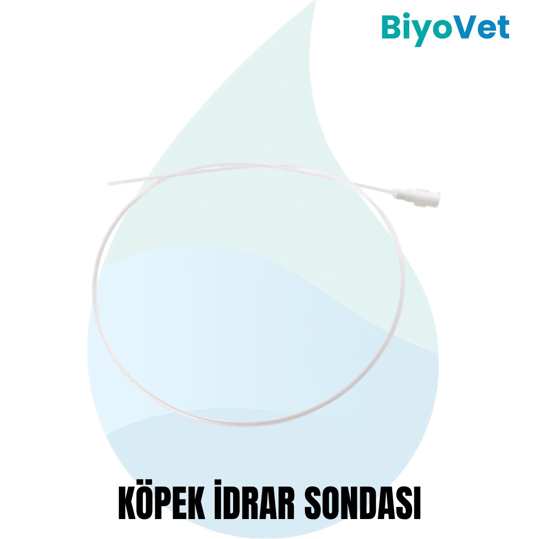 CURAVET KÖPEK İDRAR SONDALARI