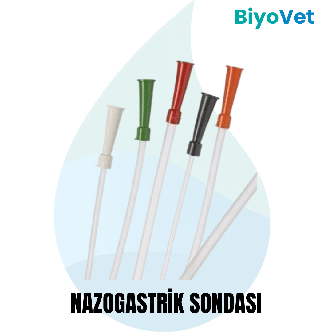 NAZOGASTRİK SONDA
