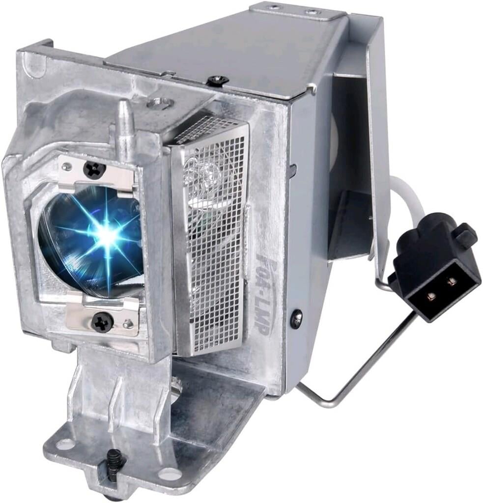 OPTOMA SP.7D1R1GR01 (BL-FP195D) Projeksiyon Lambası