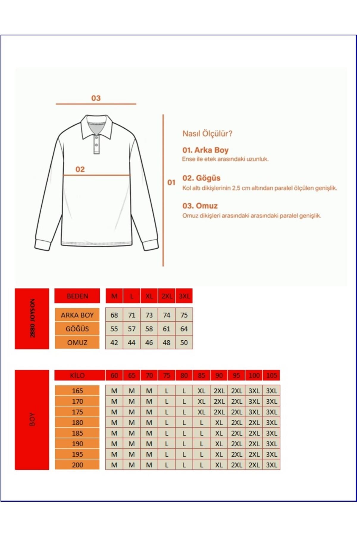 Erkek Kışlık Regular Fit Polo Yaka Basic Sweatshirt
