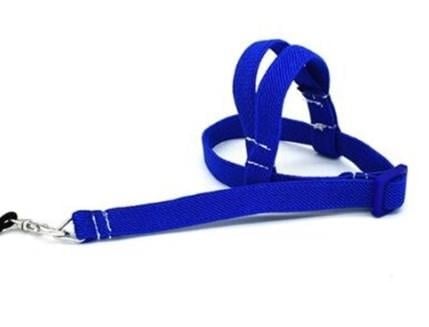 Alya Pets Kuş Gezdirme Tasması 12li