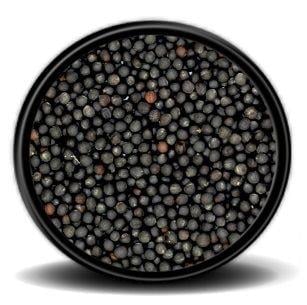 Hobi Rapiska (Kanola) Tohumu 10kg