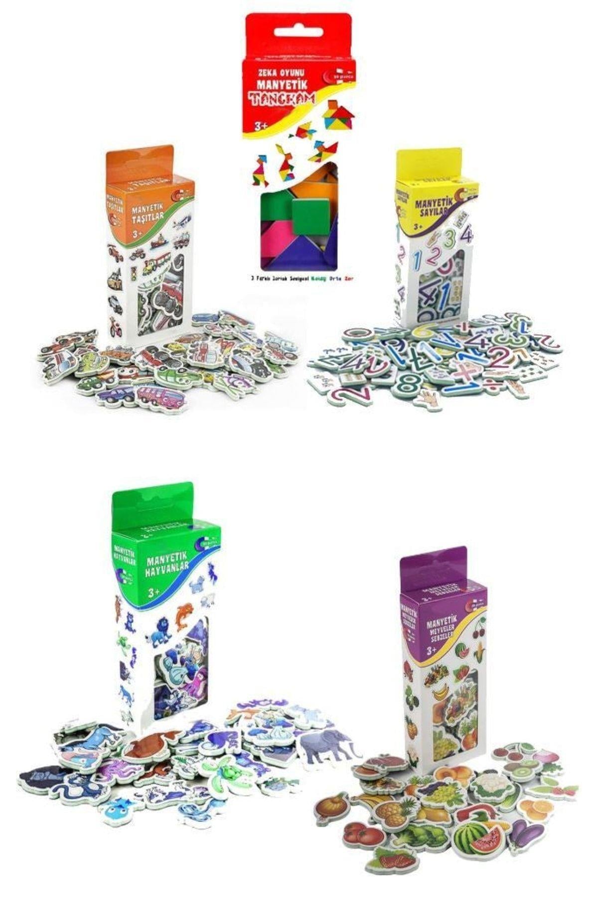 Magnet 5lı Set Taşıtlar , Zeka Oyunu , Hayvanlar , Sayılar , Meyveler