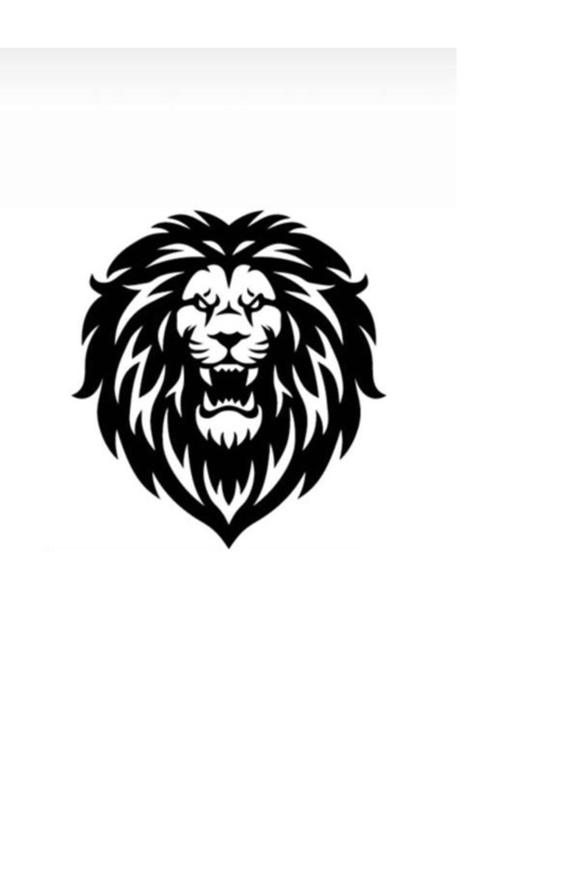Aslan Tasarımlı Oto özel yeni sticker 40*40 Cm