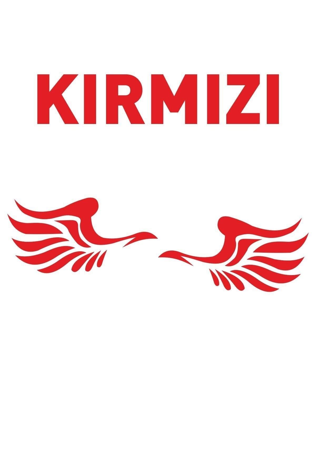 Kanat Yan Ayna Oto özel yeni sticker Siyah Sağ-Sol 2 Adet 12*6 Cm
