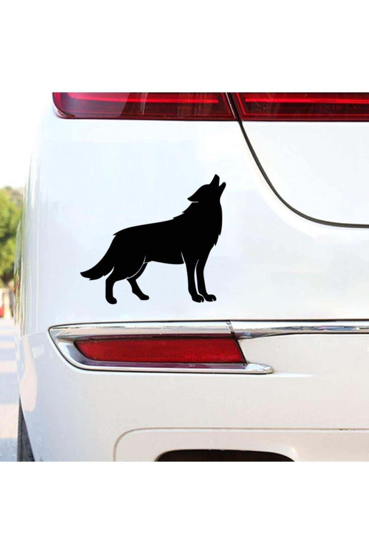 Kurt Tasarım Oto özel yeni sticker 17*15 Cm