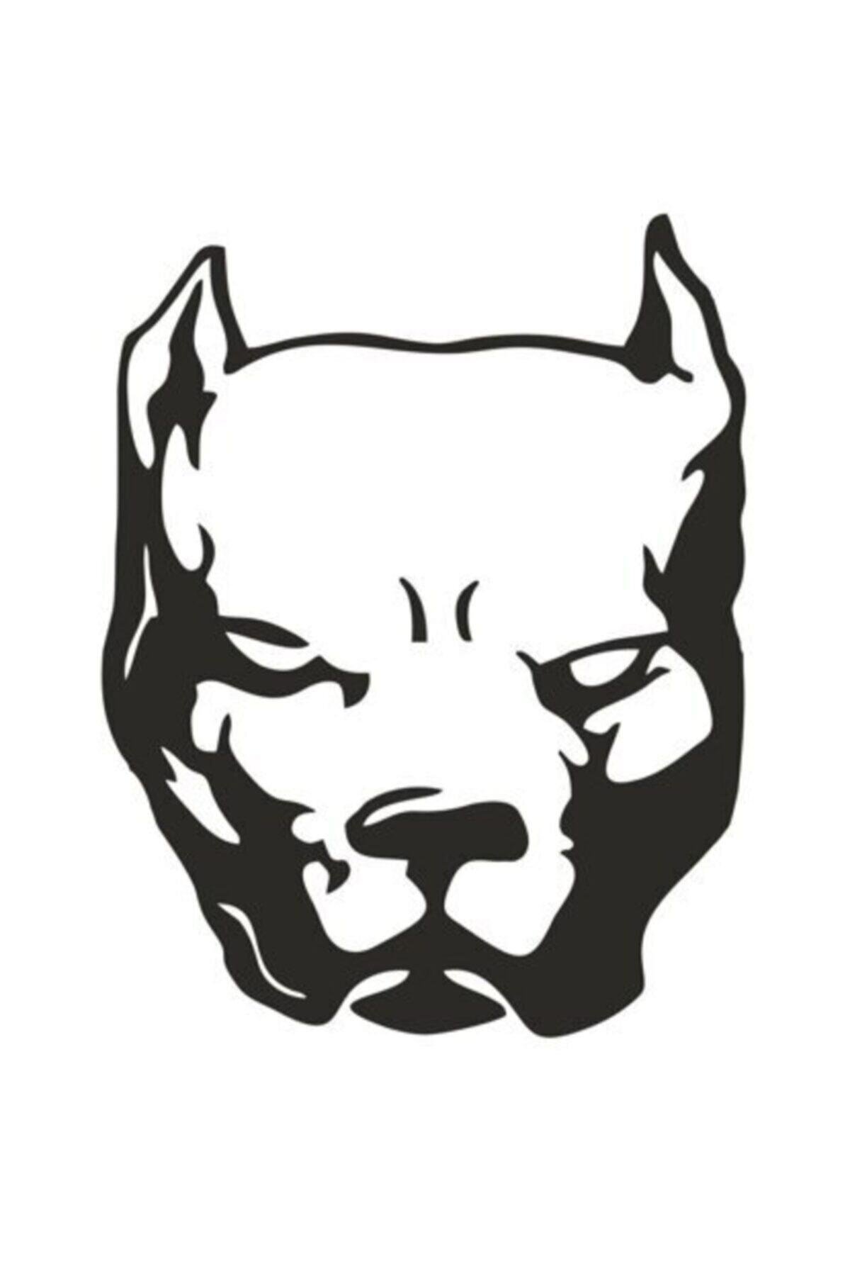 Pitbull Köpek özel yeni sticker 15*11,5 Cm