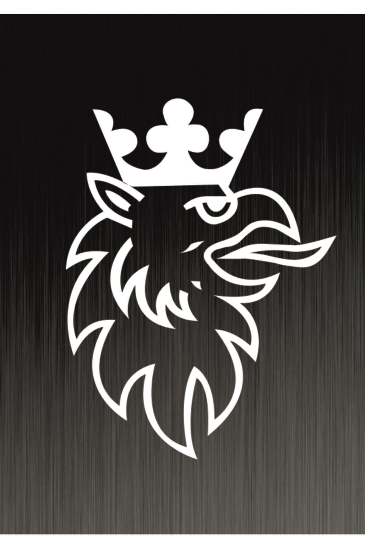 Scanıa R Logo Oto özel yeni sticker 35*25 Cm