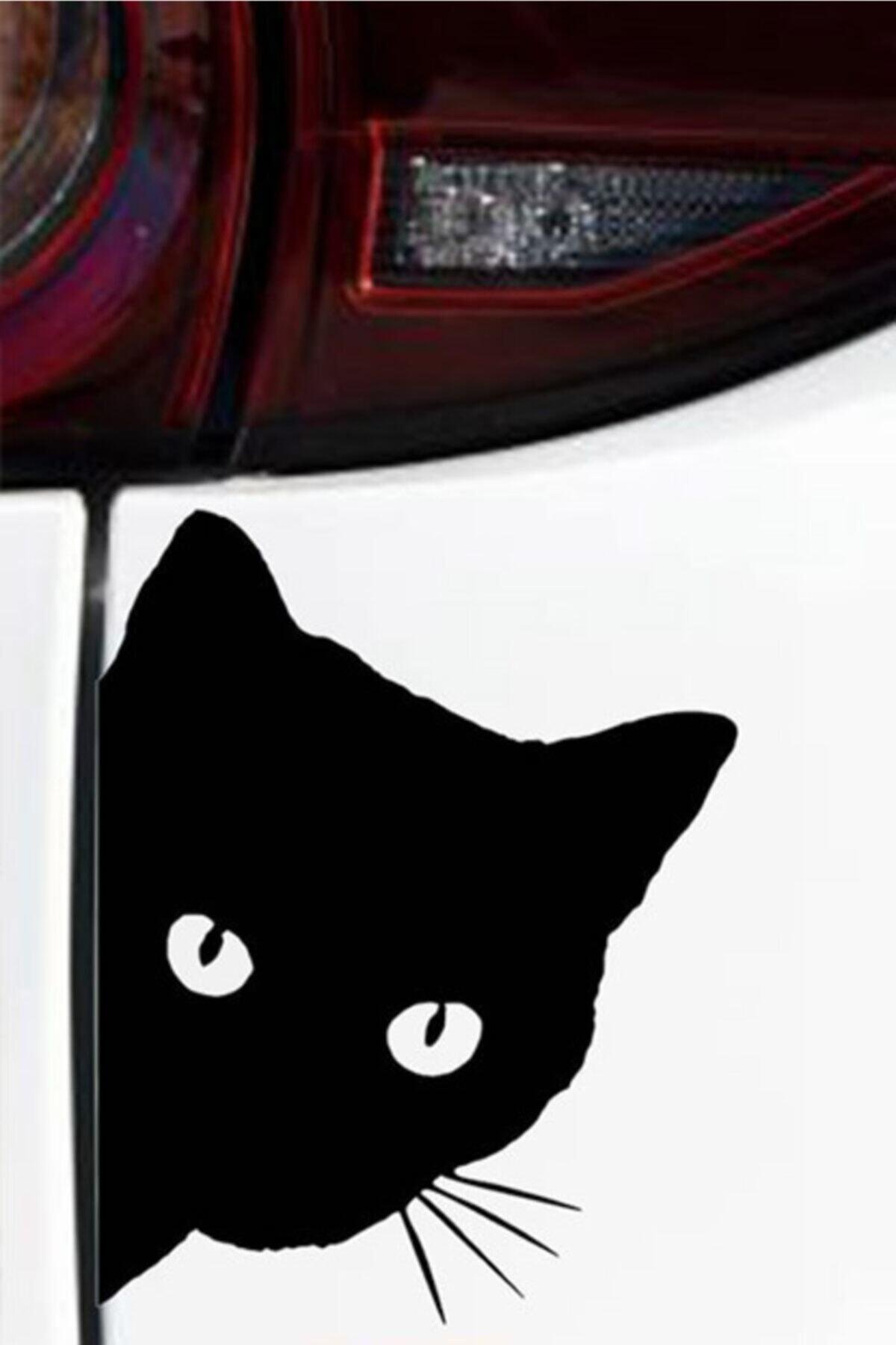 Sevimli Kedi Oto özel yeni sticker Siyah 2 Adet