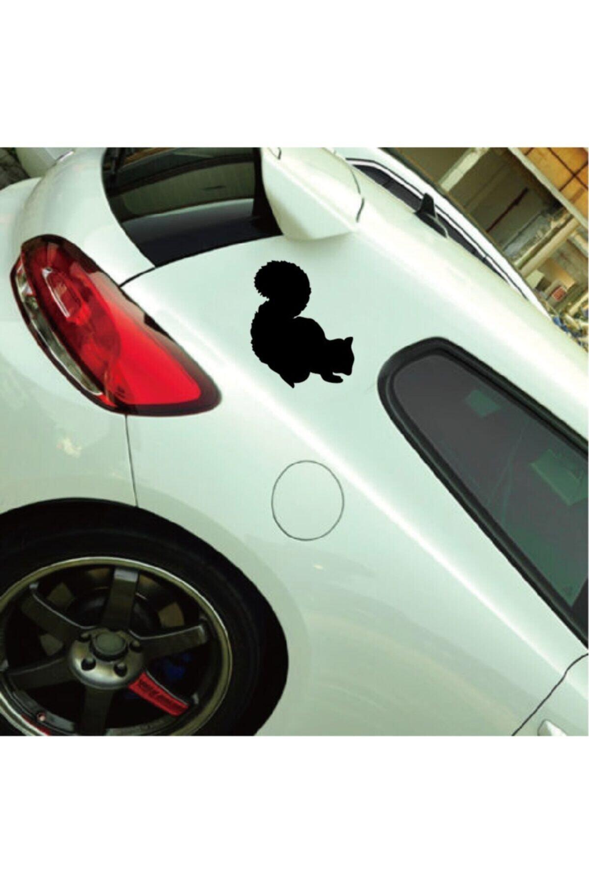 Sevimli Sincap Tasarım Oto özel yeni sticker Siyah 10*10 Cm