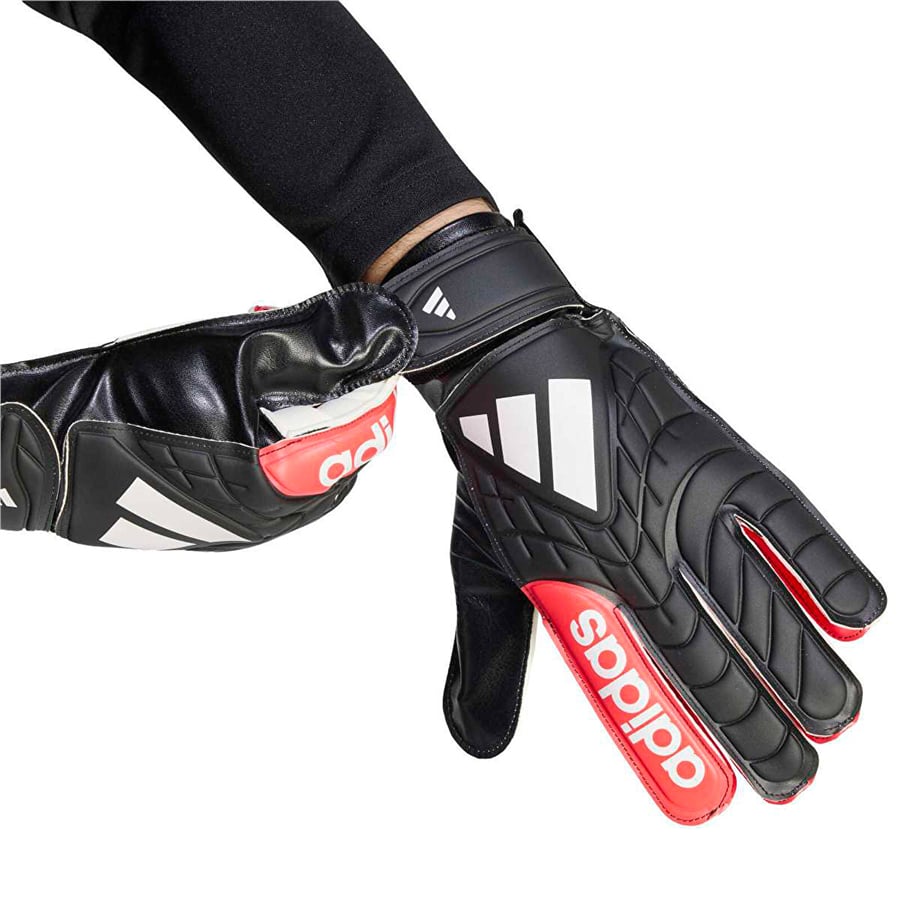 COPA GL CLB
