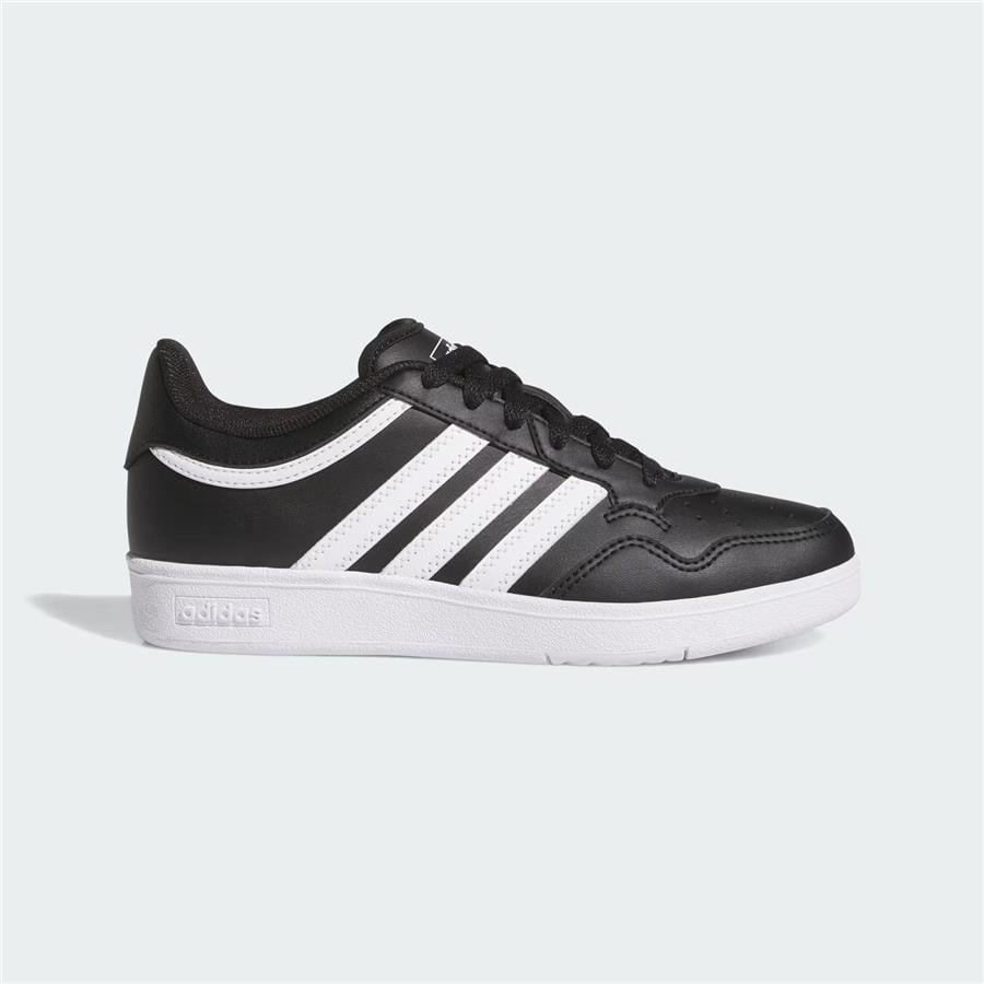 HOOPS 4.0 J