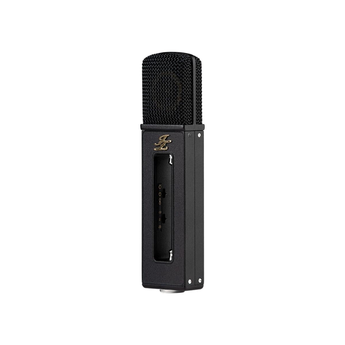Black Hole BH1s + BH|SPK