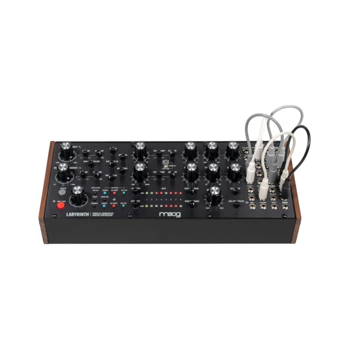 Moog Labyrinth