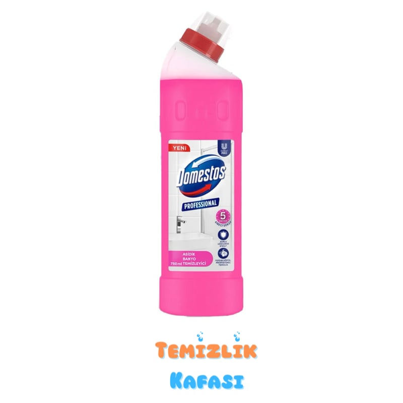 Domestos Professional Asidik Banyo Temizleyici (750 ml)
