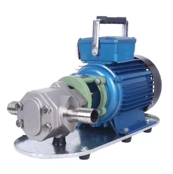 WATER SOUND WCB-75SSM 1 HP 220V PASLANMAZ GÖVDELİ DİŞLİ TRANSFER POMPA