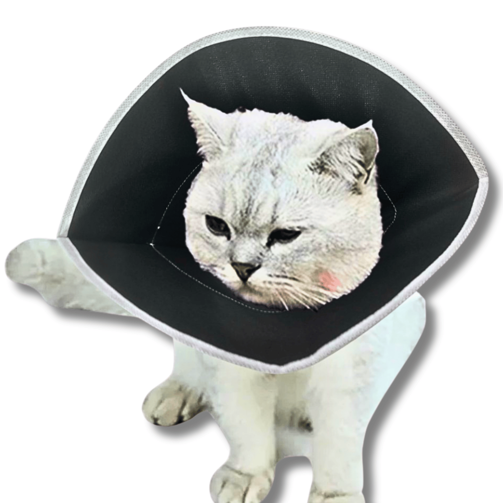 Bez Kedi Yakalığı