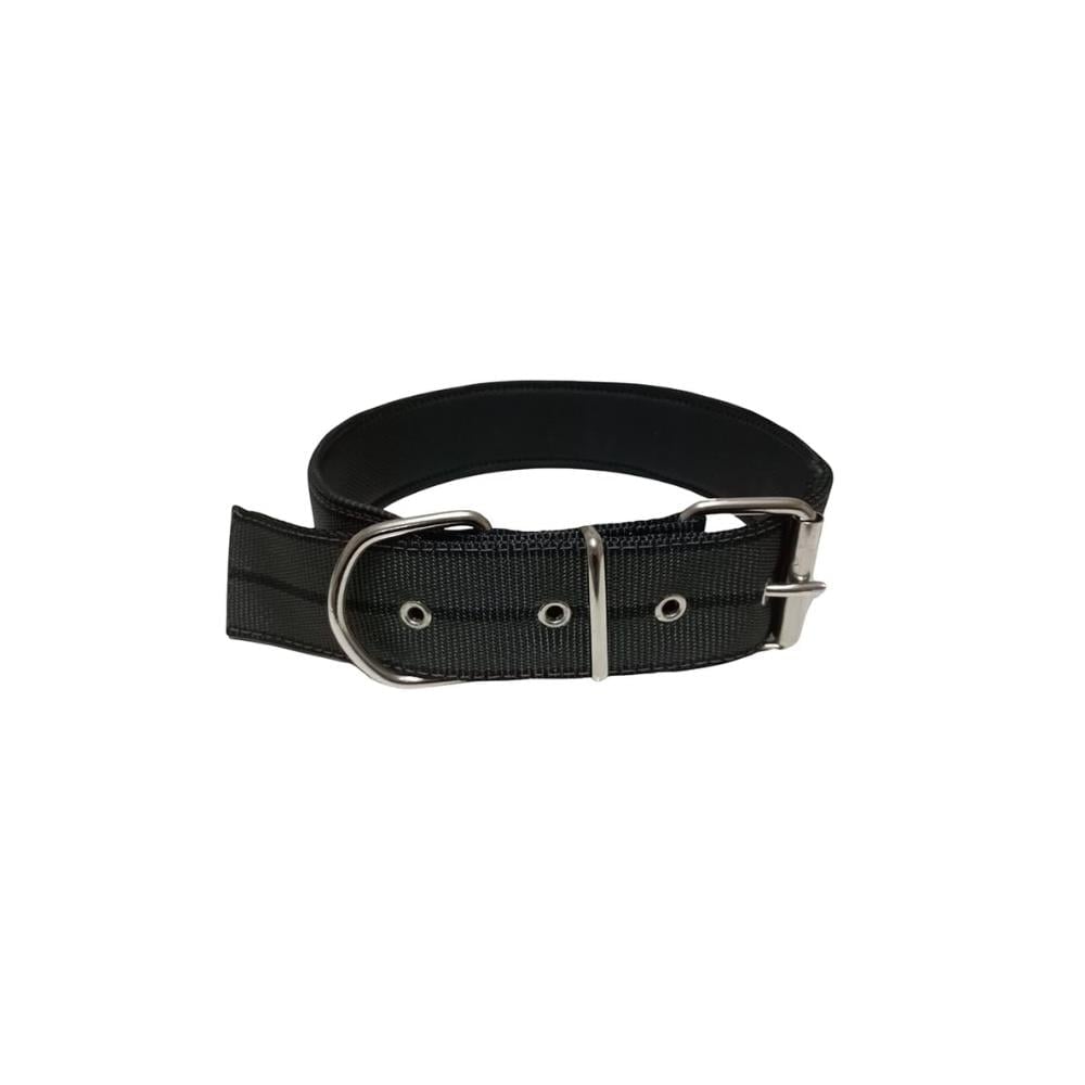 Köpek Boyun Tasması Küçük