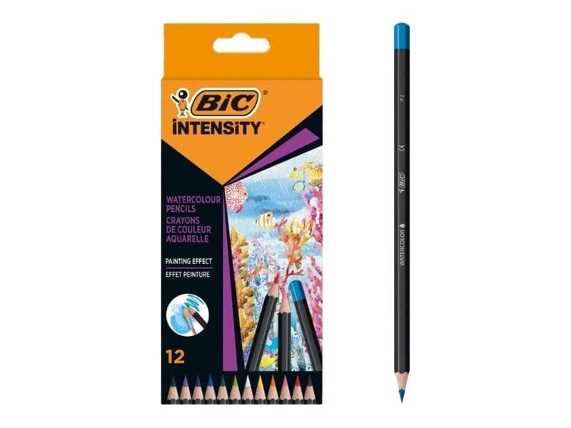 BİC INTENSITY AQUACOULEUR KURU SULU BOYA KALEMİ 12 RENK