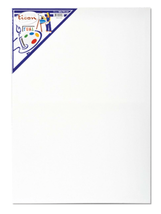 TİCON EKO 25x35 TUVAL