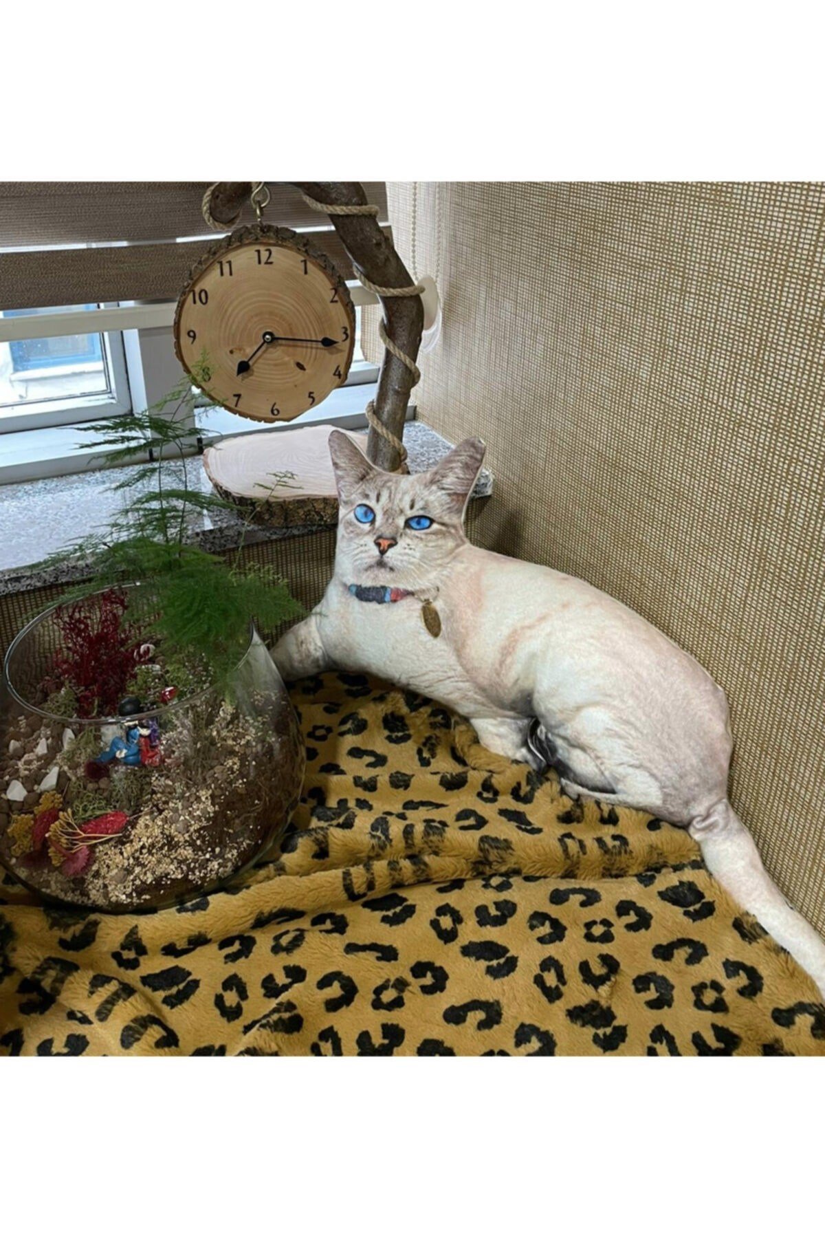 3 Boyutlu Dijital Baskılı Boncuk Kedi Yastık