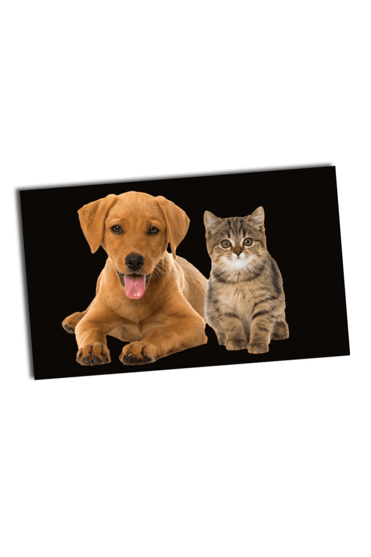 Dekoratif Ev/ofis Kapı Önü Örtüsü Kedi Köpek Desenli