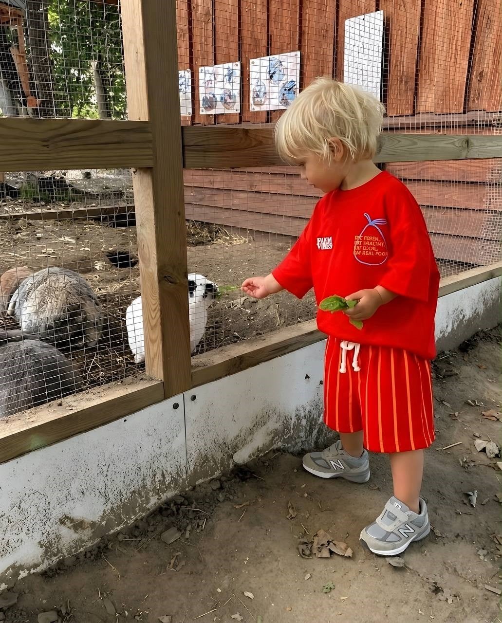 Farm Vibes Çizgili Takım