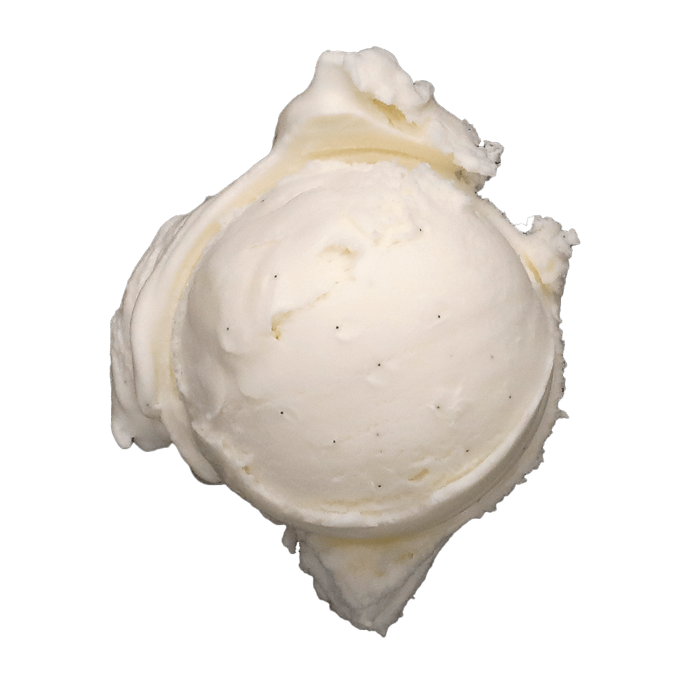 Serez Gurme Dondurma Madagaskar Vanilya 500 gr