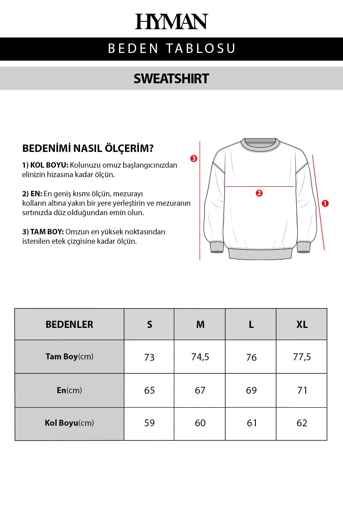 Erkek Seattle Baskılı Oversize Sweatshirt Gri